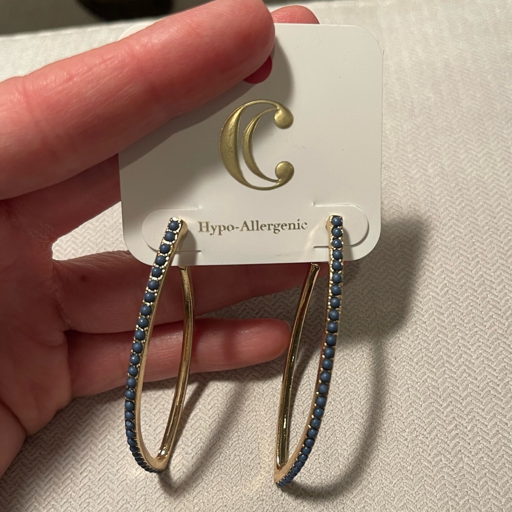Gold and Blue Hoop Earrings